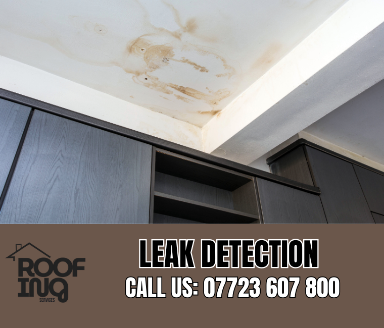 Roof Leak Detection in Perranporth